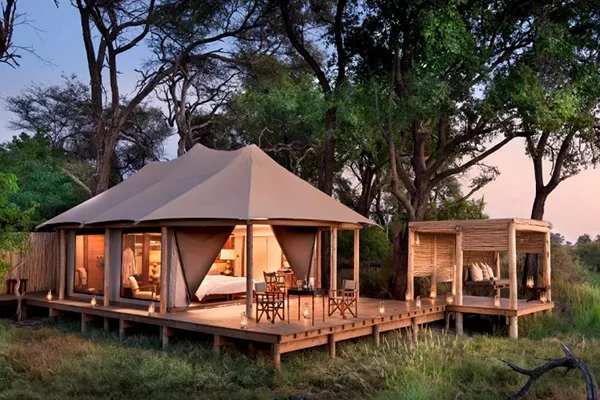 Safari Camps